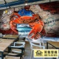 3D立体大闸蟹图片墙纸螃蟹小龙虾店墙面装饰烧烤海鲜店背景墙壁纸